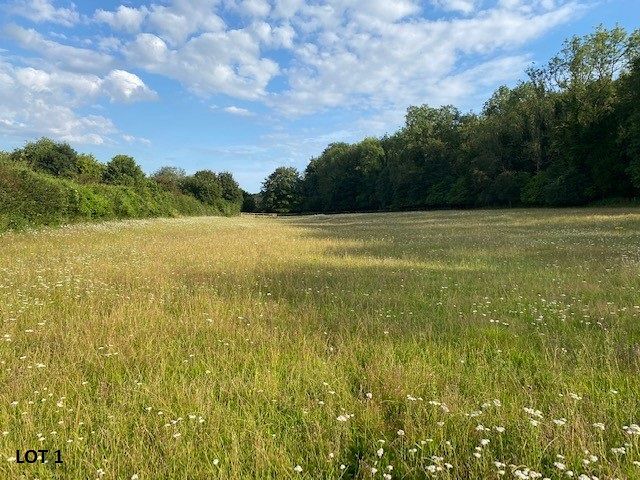 Pasture Land at Finchdean, Rowlands Castle Hampshire PO8 0AZ